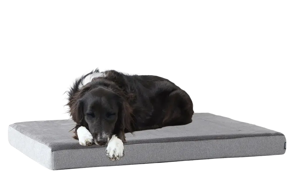 Dog Bed - Image 13