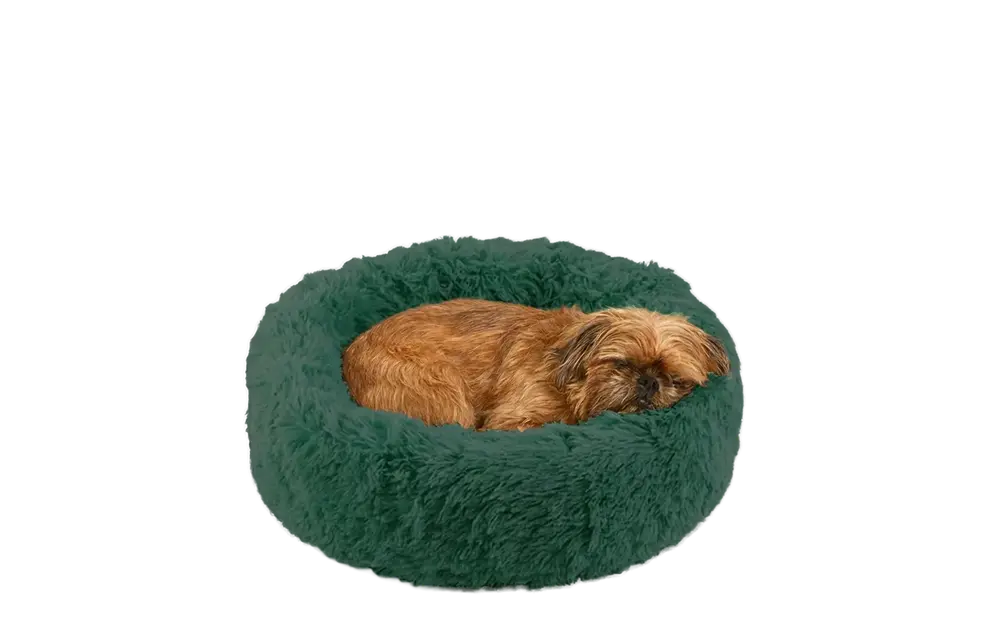 Dog Bed - Image 14