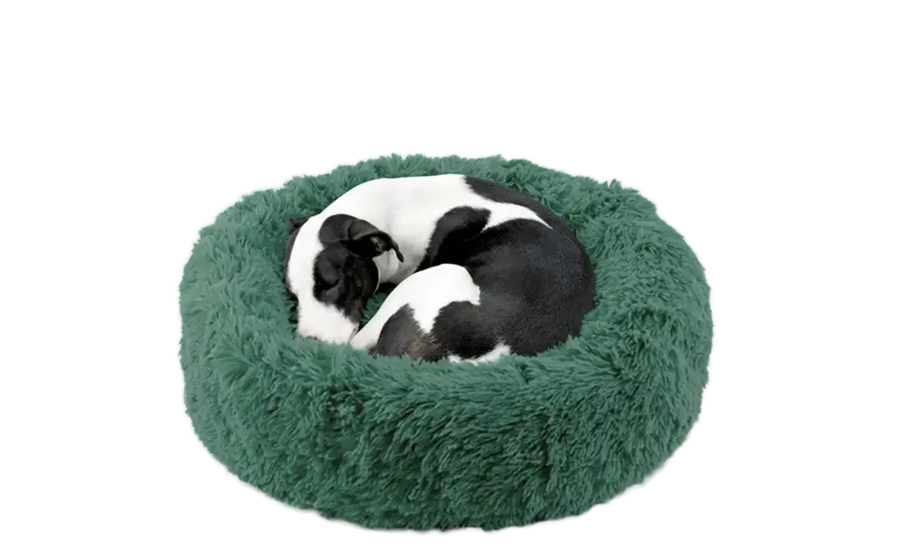 Dog Bed - Image 4
