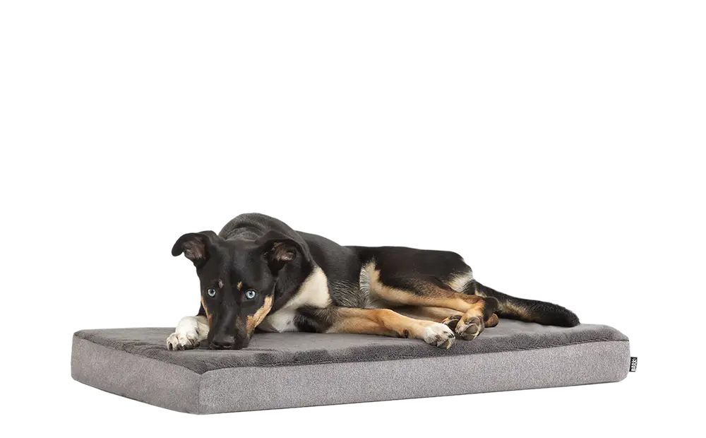 Dog Bed - Image 5