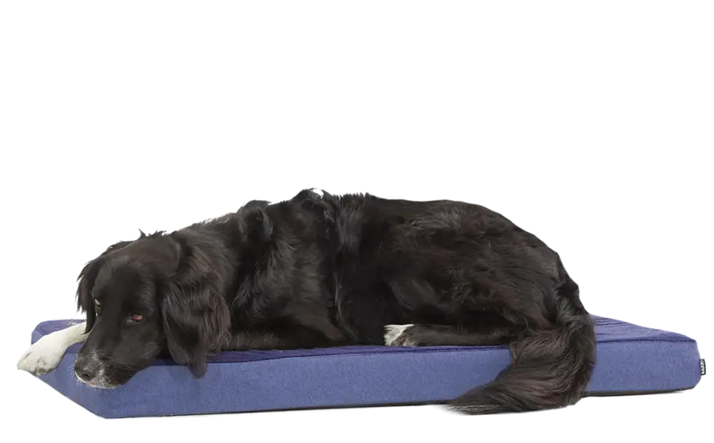 Dog Bed - Image 6