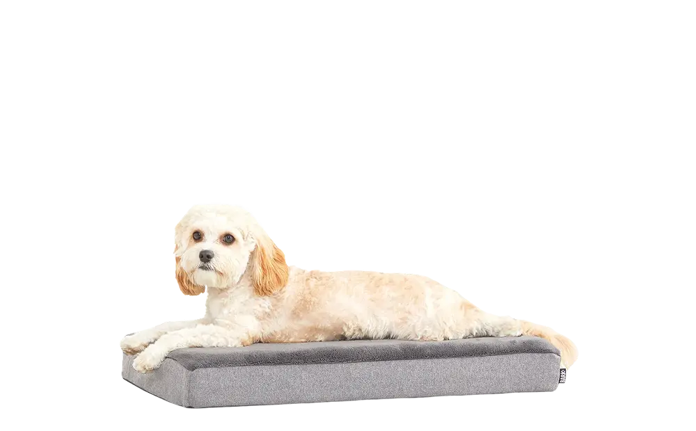 Dog Bed - Image 7