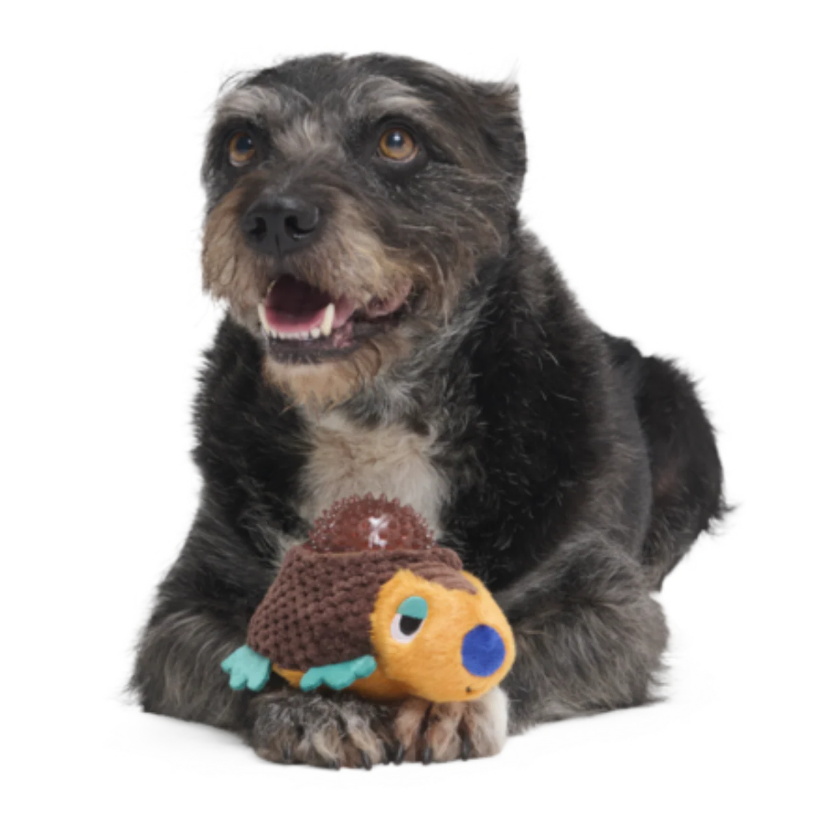 Don The Glyptodon Plush Multi-Part Dog Toy - Image 4