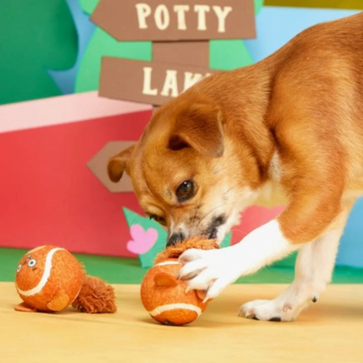 Double Trouble Squirrel Balls Fetch Dog Toy - Image 3