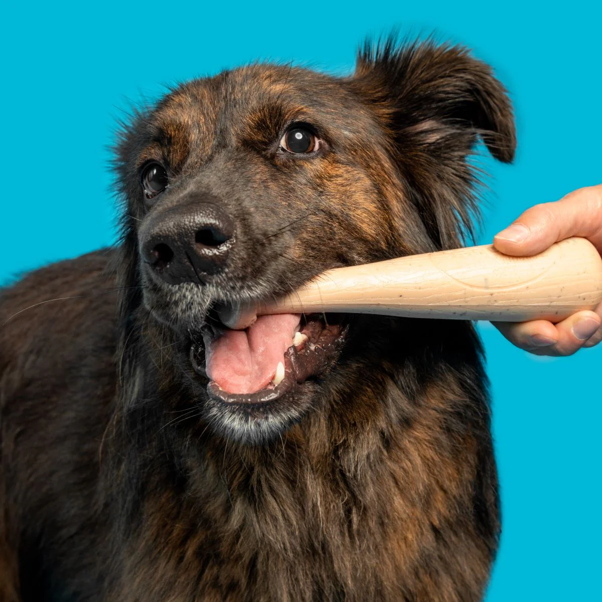 Drooleyville Slobber Durable Super Chewer Gnaw Dog Toy - Image 3