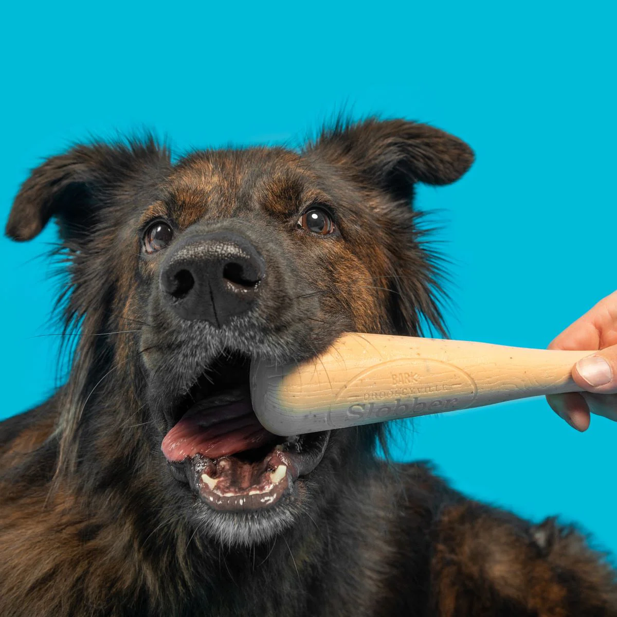 Drooleyville Slobber Durable Super Chewer Gnaw Dog Toy - Image 4