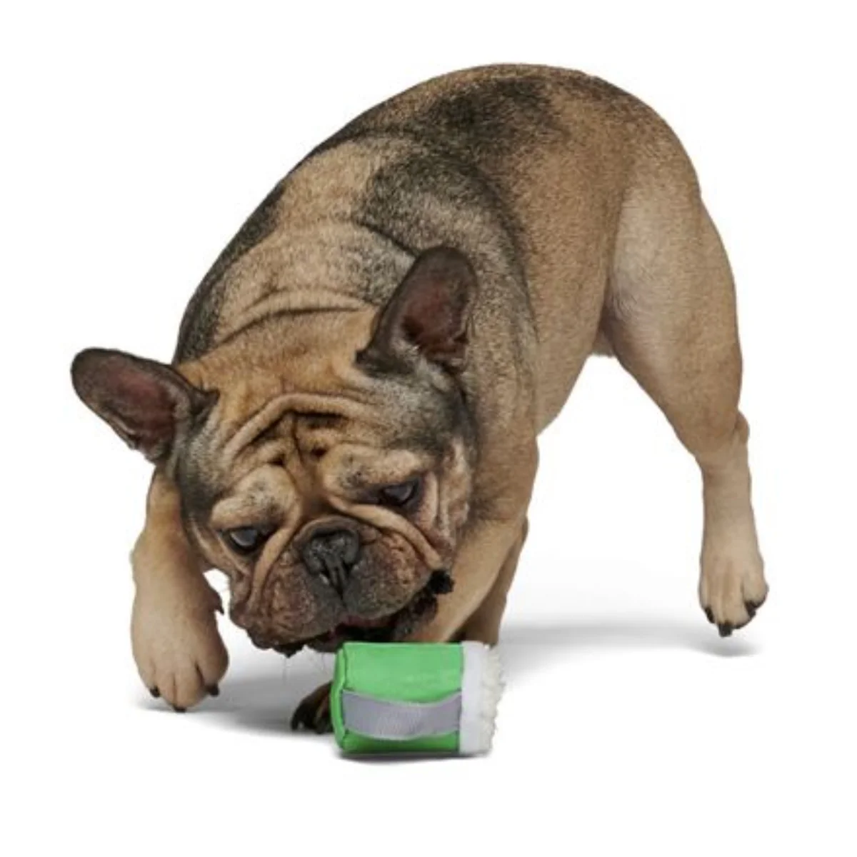 Erin Go Brew Durable Super Chewer 2-in-1 Rip and Reveal Dog Toy - Image 6
