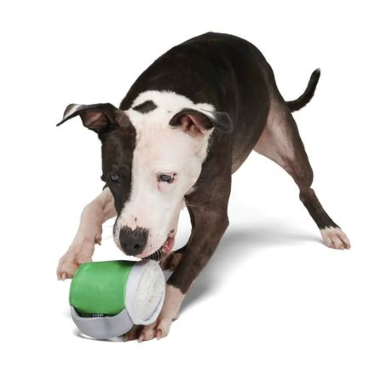 Erin Go Brew Durable Super Chewer 2-in-1 Rip and Reveal Dog Toy - Image 7