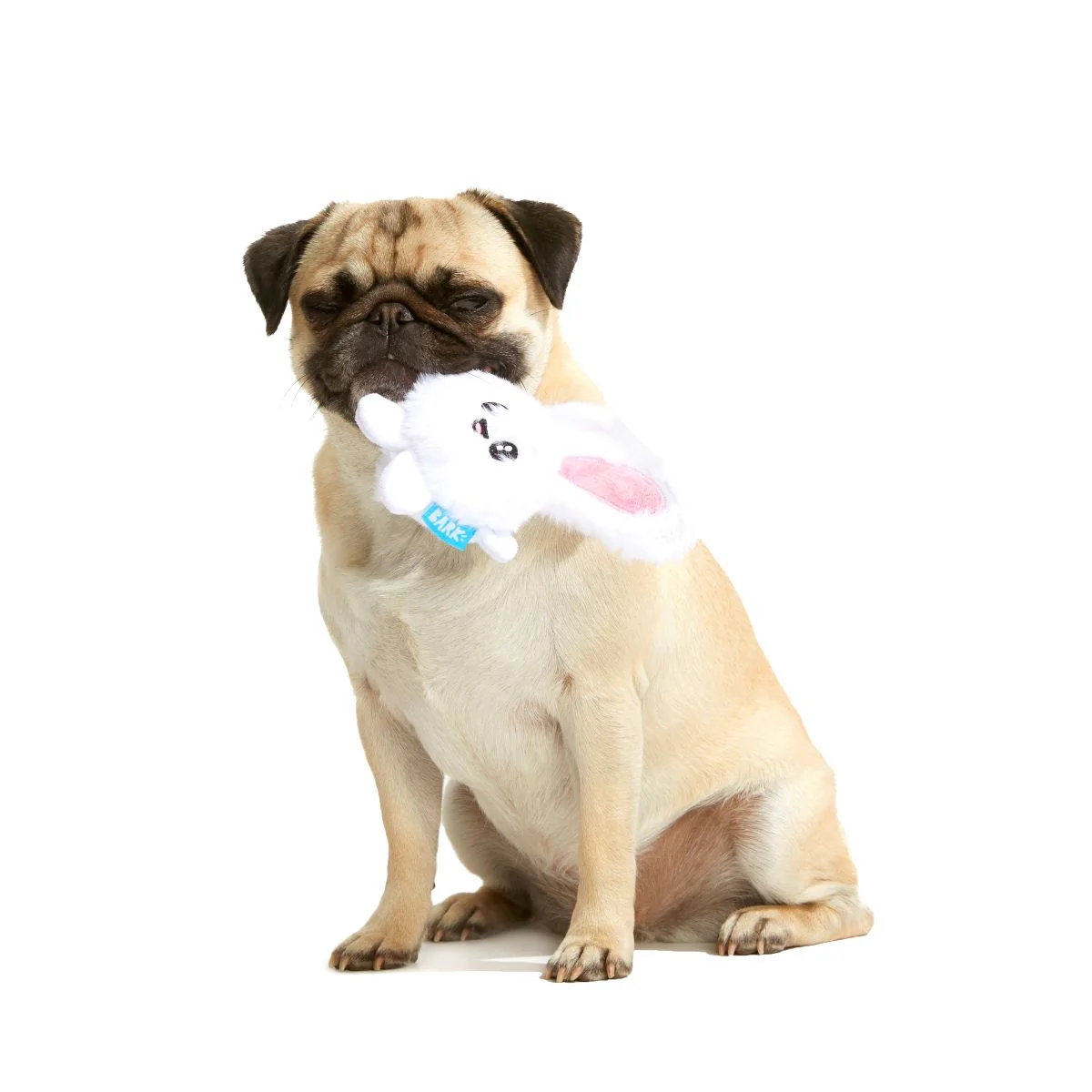 Esther Bunny Plush 2-in-1 Rip and Reveal Dog Toy - Image 3