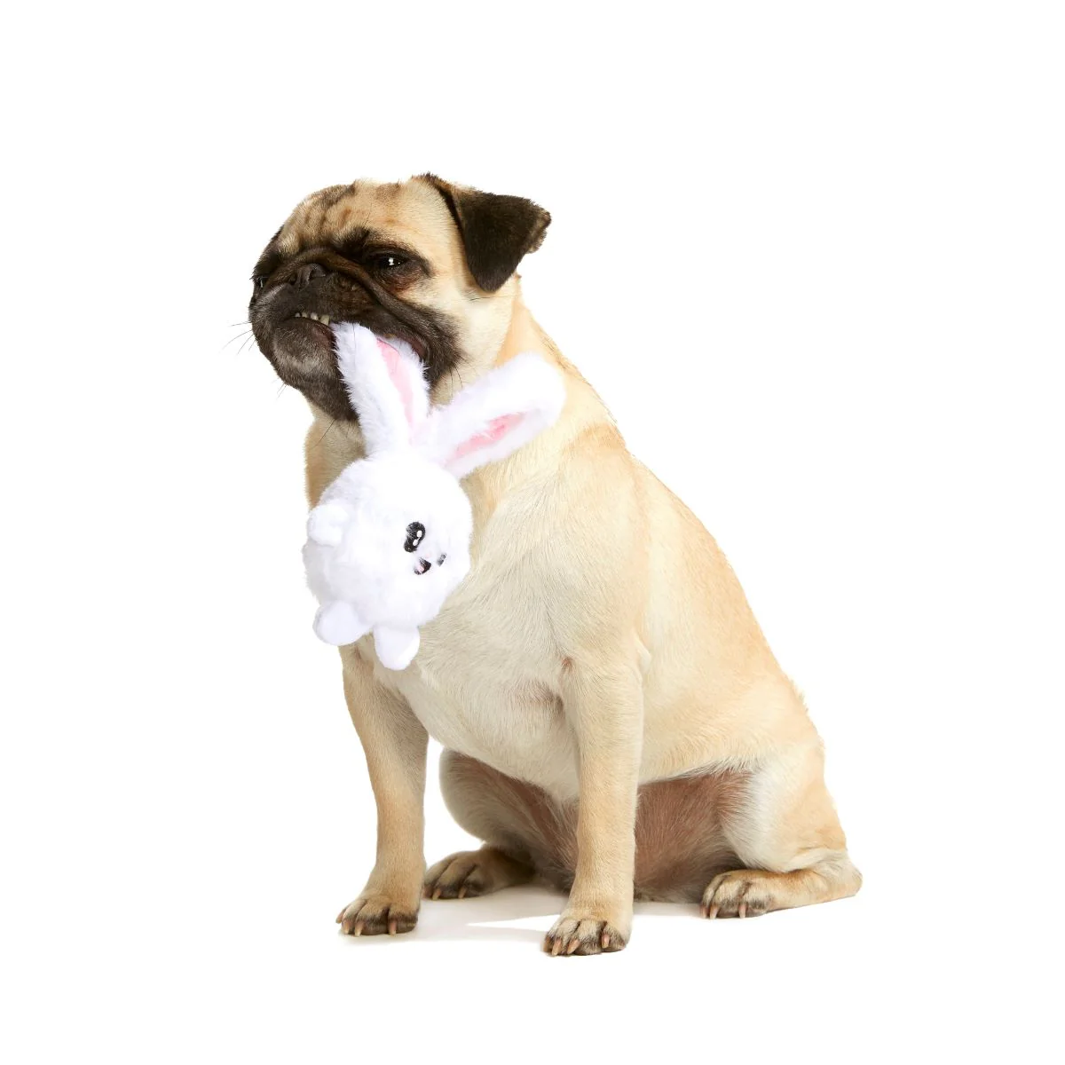 Esther Bunny Plush 2-in-1 Rip and Reveal Dog Toy - Image 4