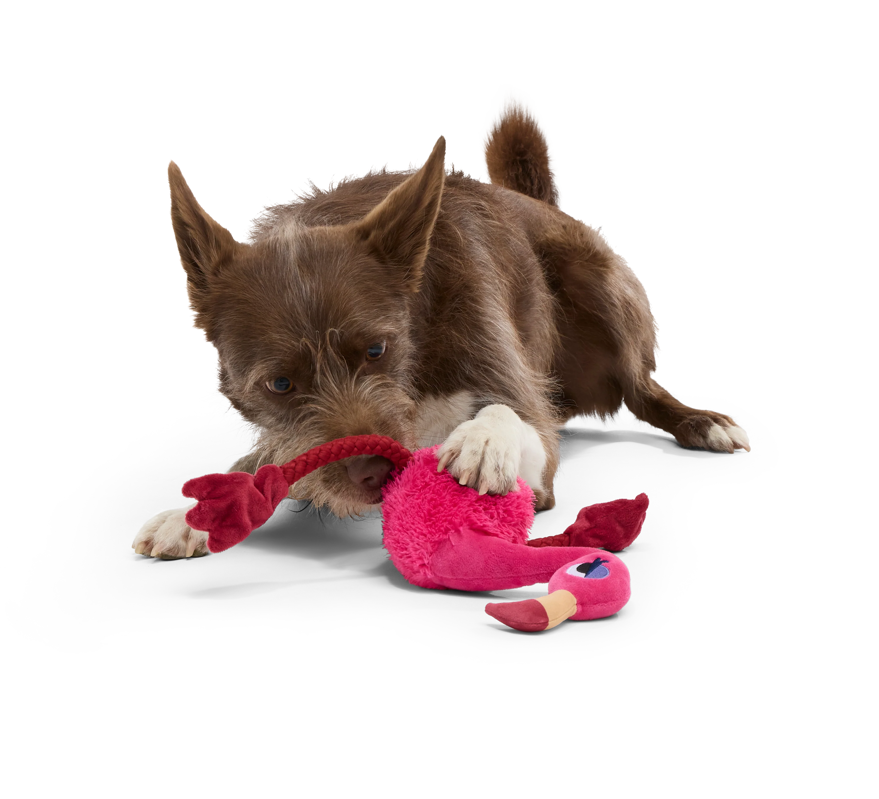 Fahari Flamingo Plush Tug Dog Toy - Image 6