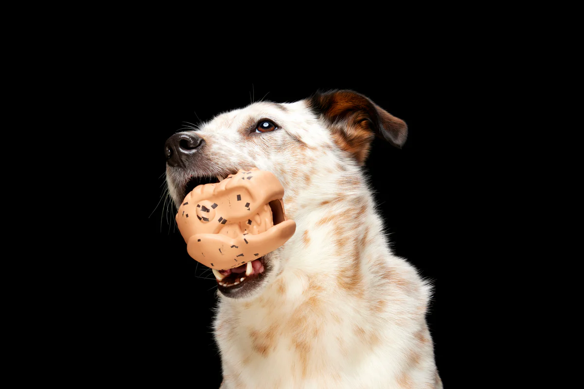 Feeding Time Durable Super Chewer Enrichment Dog Toy - Image 5