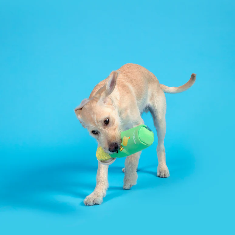 Flingles Can Plush Tug Dog Toy - Image 4