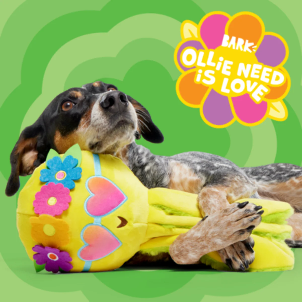 Ollie Need Is Love Plush Tug Dog Toy - Image 4