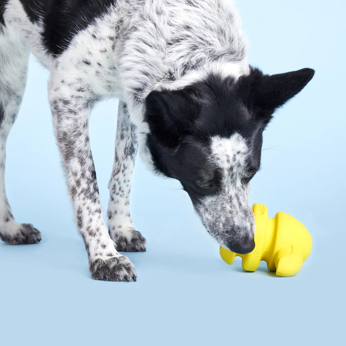 Fowl Play Durable Super Chewer 2-in-1 Rip and Reveal + Enrichment Dog Toy - Image 10