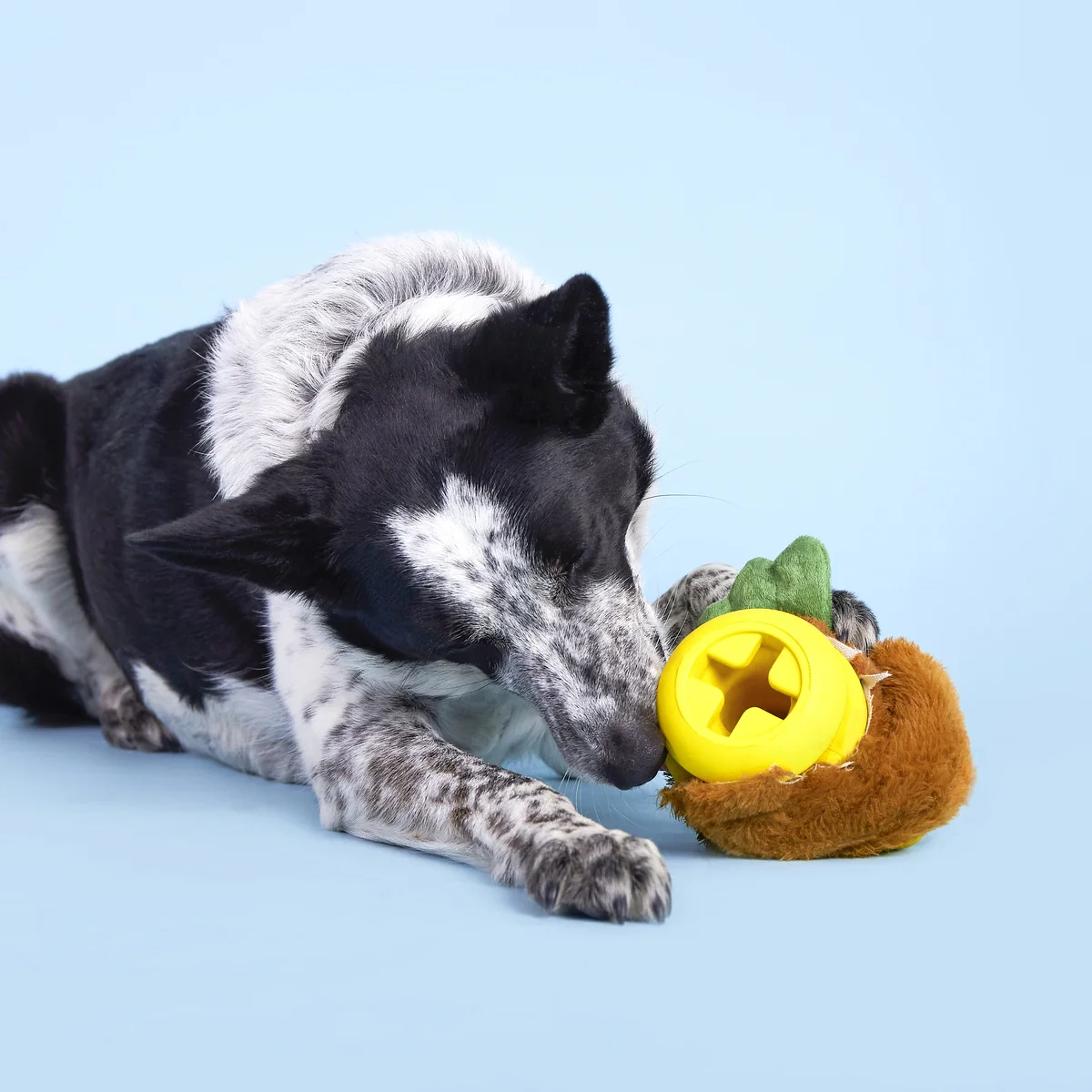 Fowl Play Durable Super Chewer 2-in-1 Rip and Reveal + Enrichment Dog Toy - Image 3