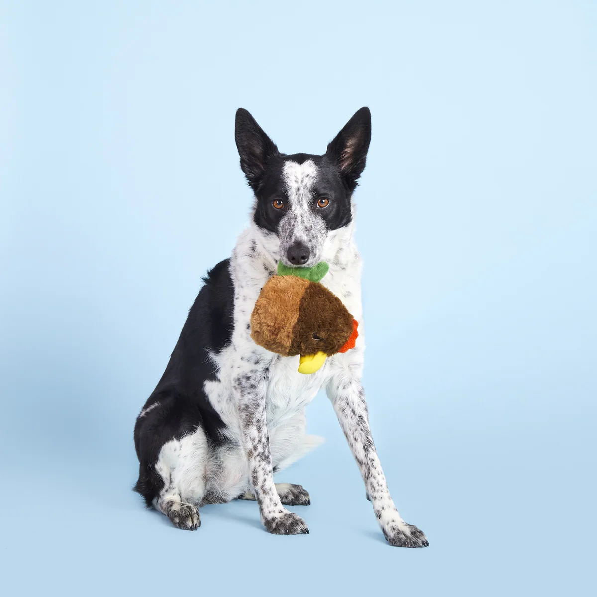 Fowl Play Durable Super Chewer 2-in-1 Rip and Reveal + Enrichment Dog Toy - Image 7