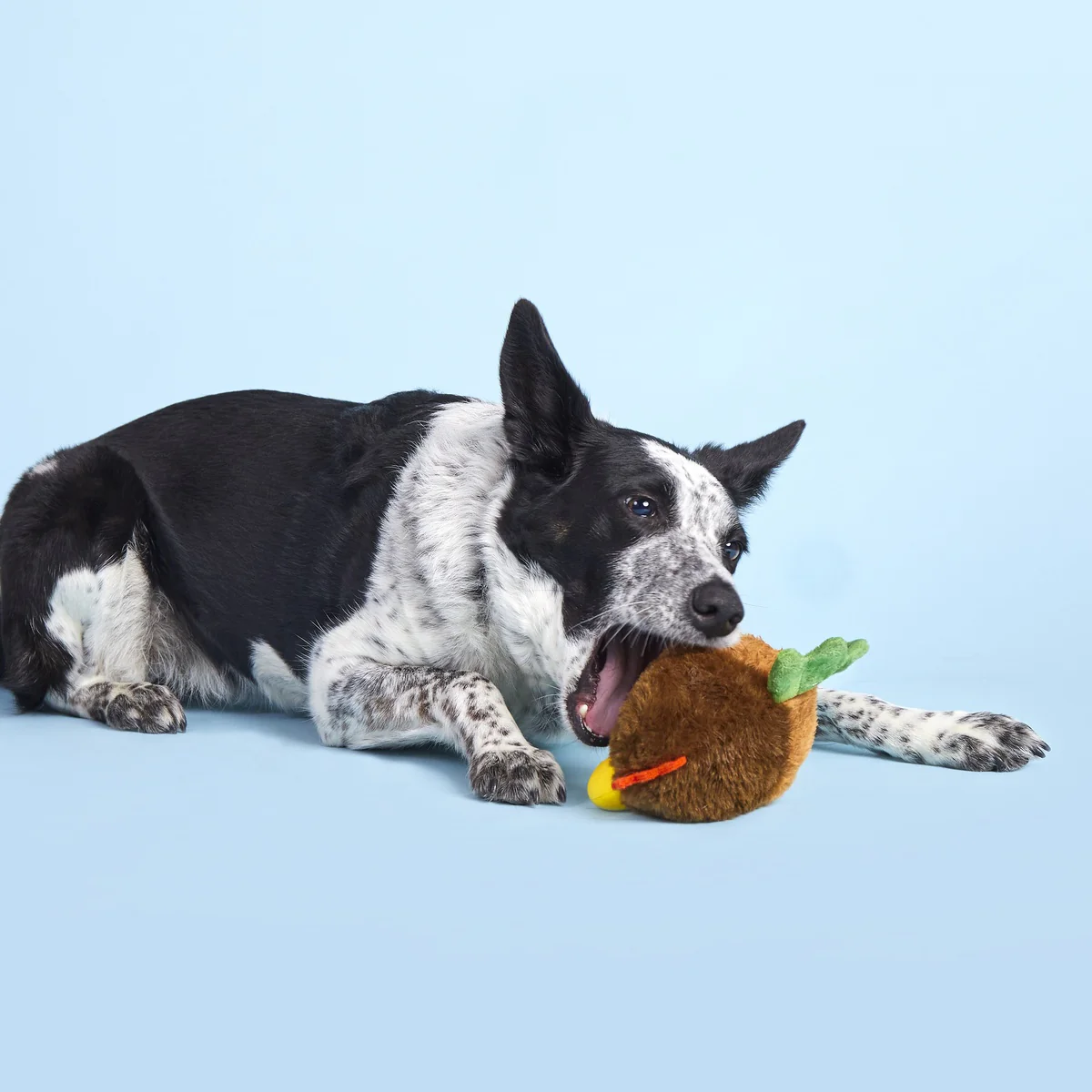 Fowl Play Durable Super Chewer 2-in-1 Rip and Reveal + Enrichment Dog Toy - Image 8