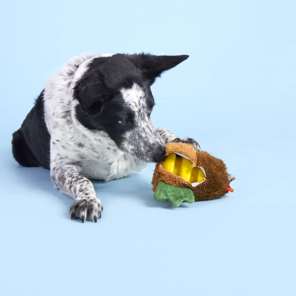 Fowl Play Durable Super Chewer 2-in-1 Rip and Reveal + Enrichment Dog Toy - Image 9