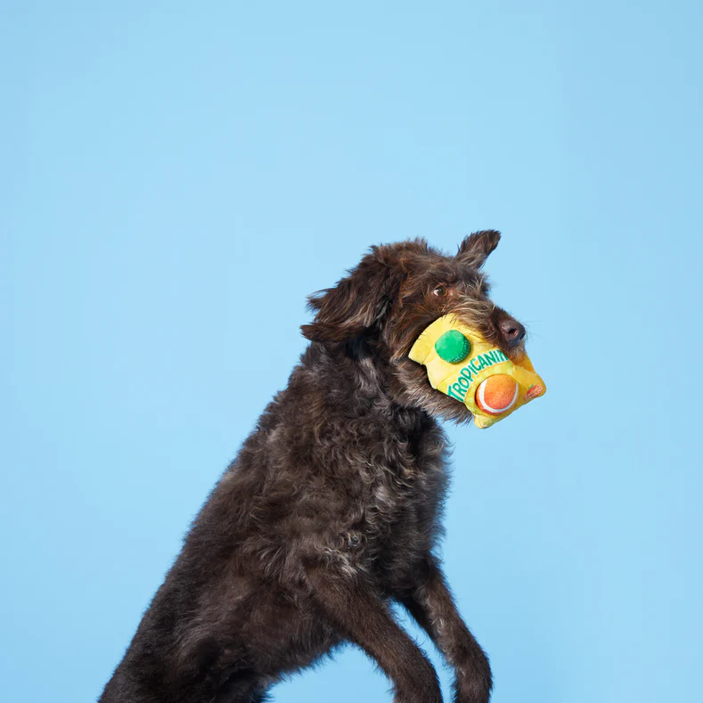 Fresh Squeaked OJ Plush Fetch + Enrichment + Multi-Part Dog Toy - Image 3