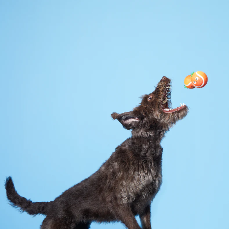 Fresh Squeaked OJ Plush Fetch + Enrichment + Multi-Part Dog Toy - Image 4