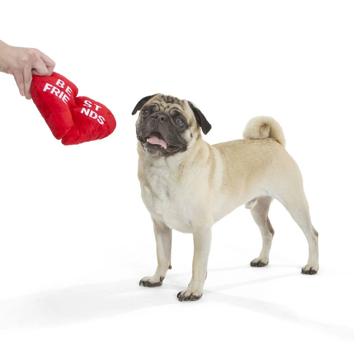 Friends Furever Plush Wearable Tug + Multi-Part Dog Toy - Image 4