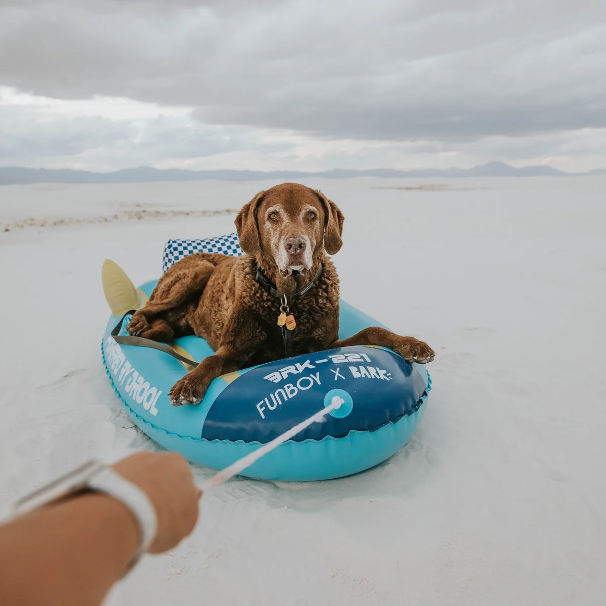 FUNBOY x BARK Dog Sled - Image 10