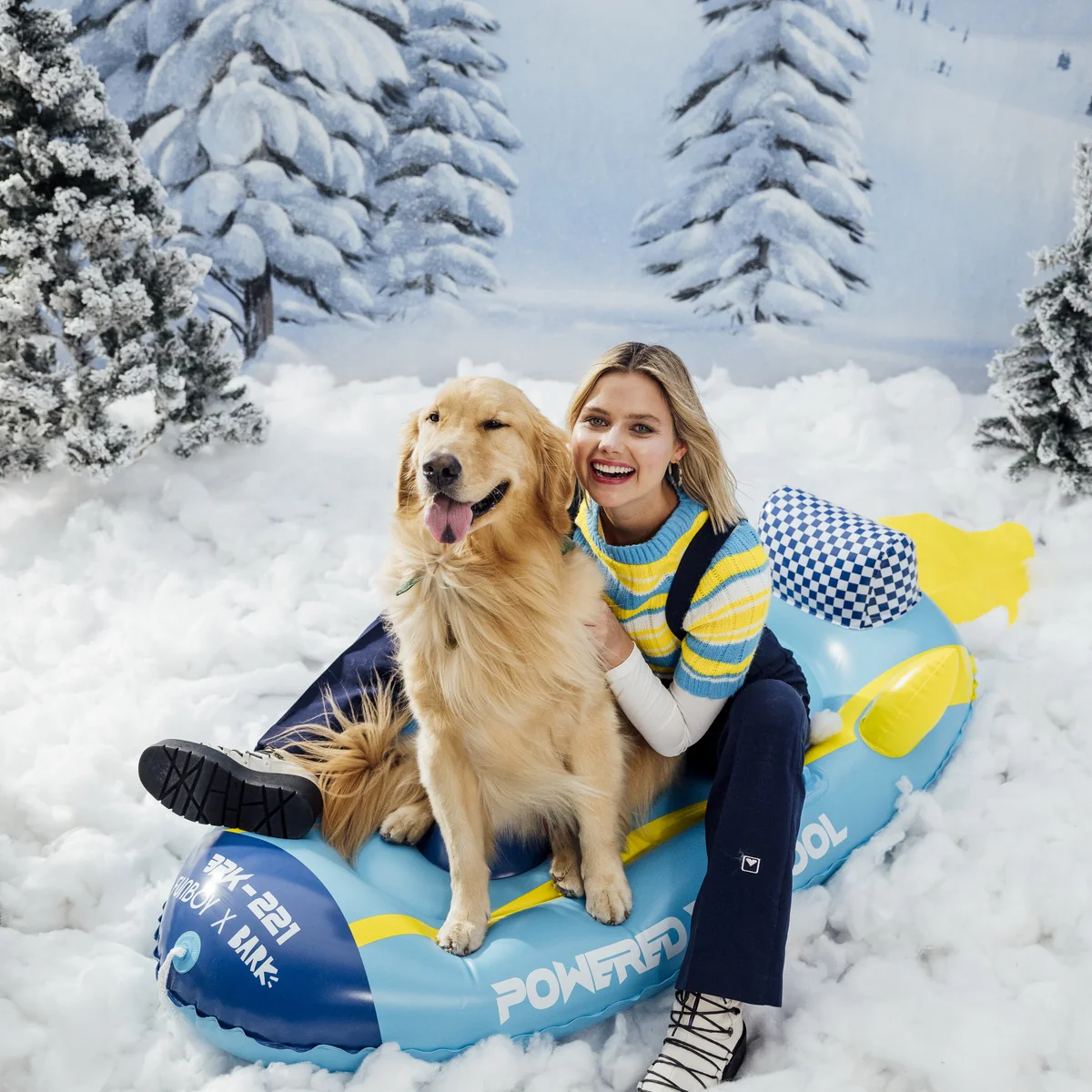 FUNBOY x BARK Dog Sled - Image 11