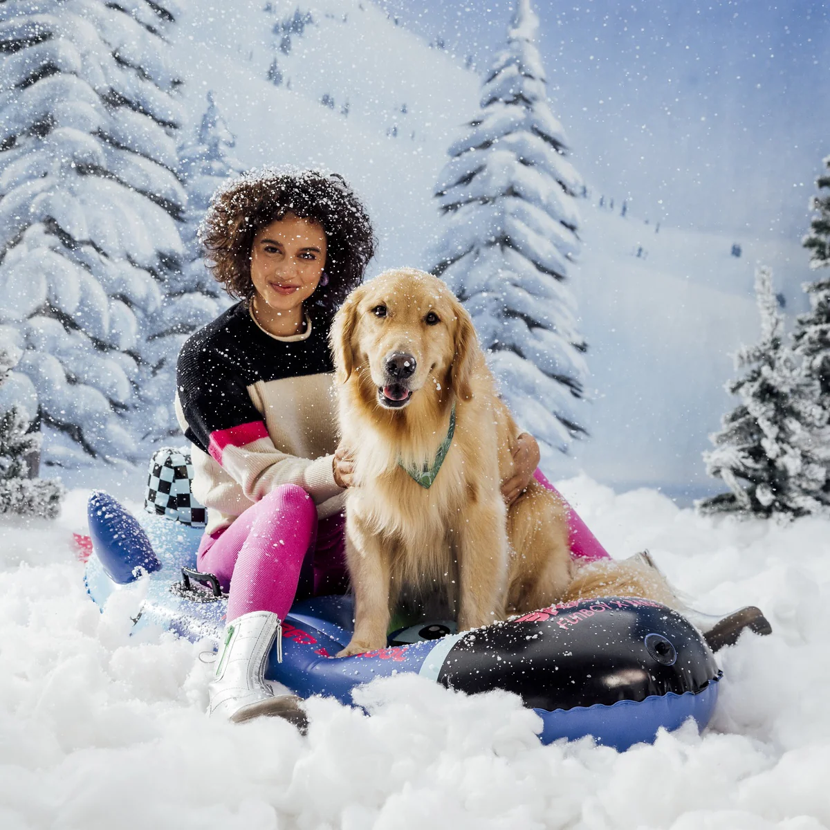 FUNBOY x BARK Dog Sled - Image 5