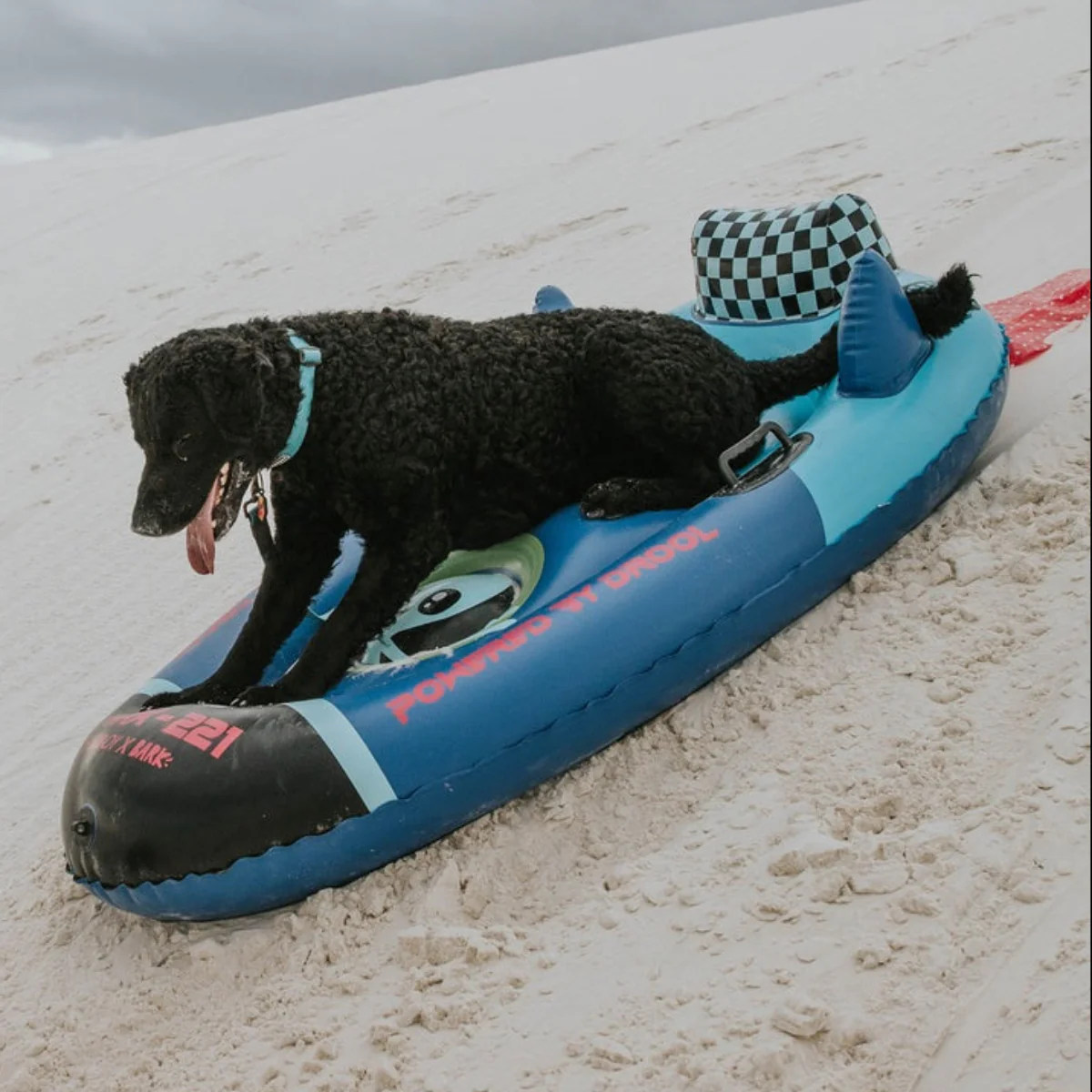 FUNBOY x BARK Dog Sled - Image 6