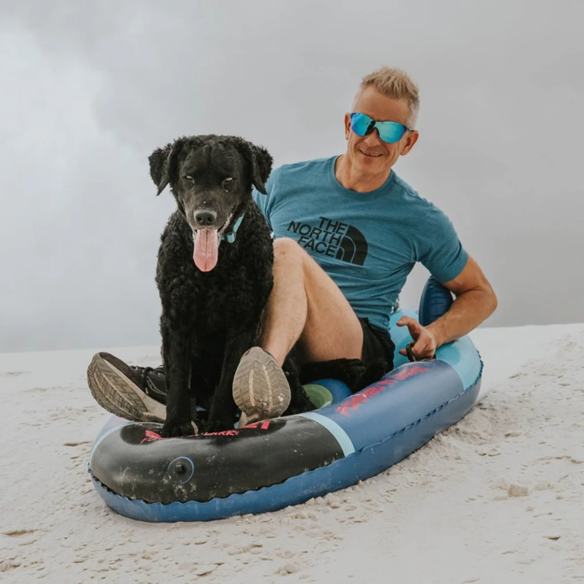 FUNBOY x BARK Dog Sled - Image 7