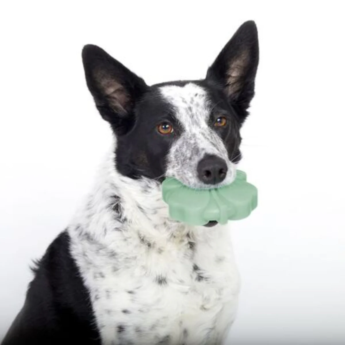 Fur Leaf Clover Durable Super Chewer Gnaw Dog Toy - Image 4