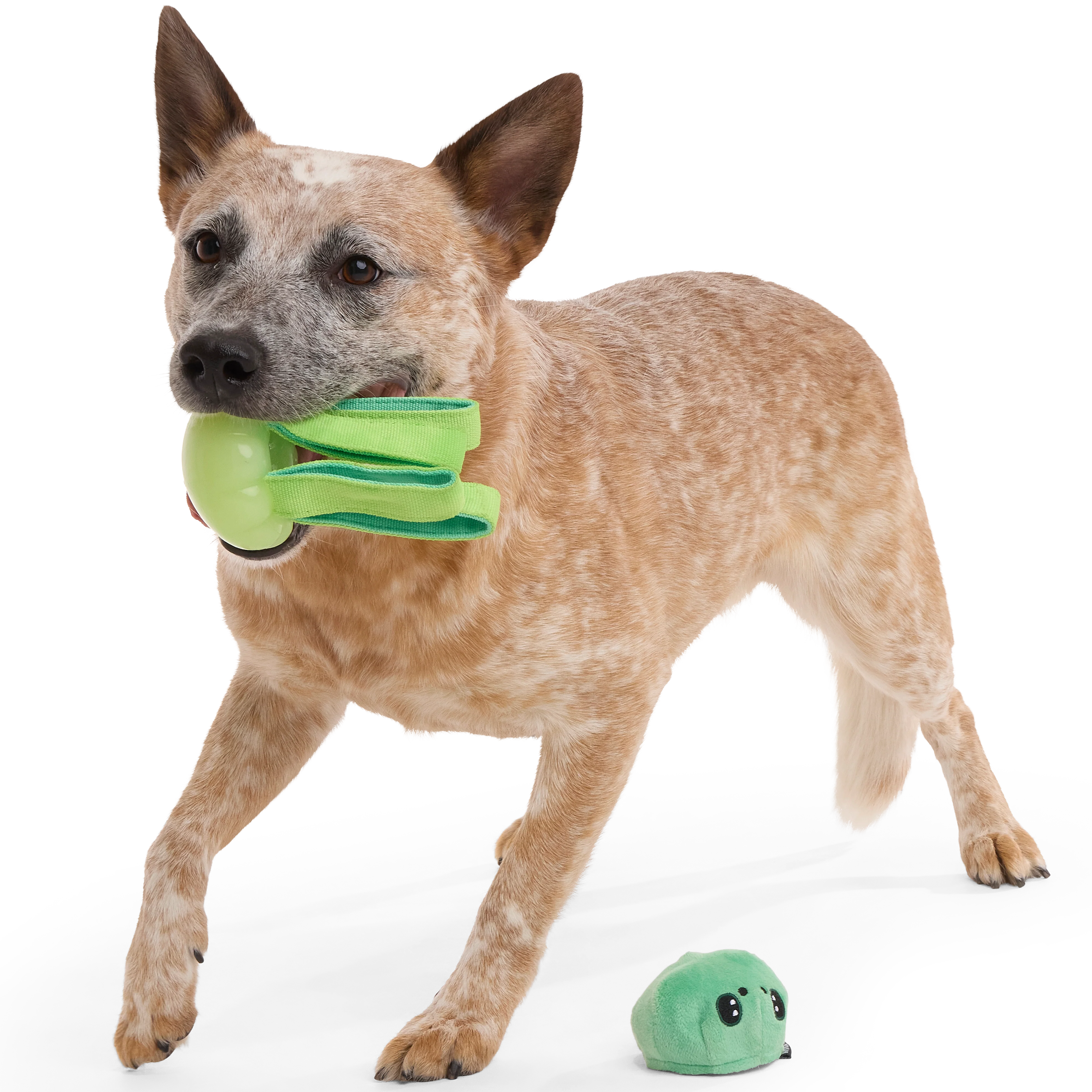 Galactopus Durable Super Chewer 2-in-1 Rip and Reveal + Tug Dog Toy - Image 3