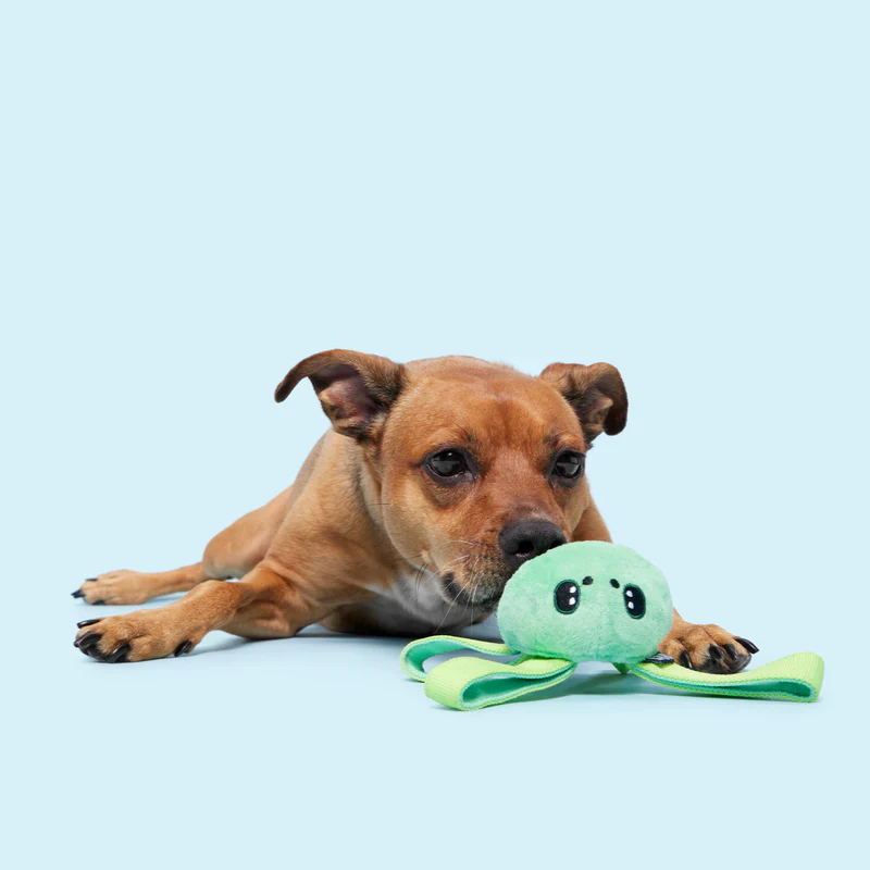 Galactopus Durable Super Chewer 2-in-1 Rip and Reveal + Tug Dog Toy - Image 4