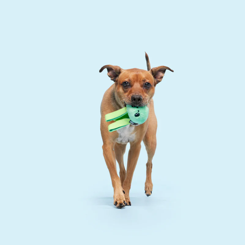 Galactopus Durable Super Chewer 2-in-1 Rip and Reveal + Tug Dog Toy - Image 6