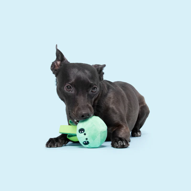 Galactopus Durable Super Chewer 2-in-1 Rip and Reveal + Tug Dog Toy - Image 7