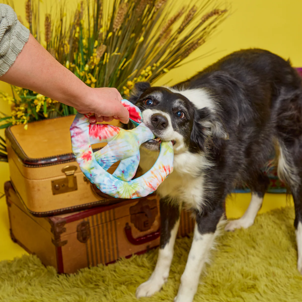 Give Peace a Tug Plush Dog Toy - Image 3