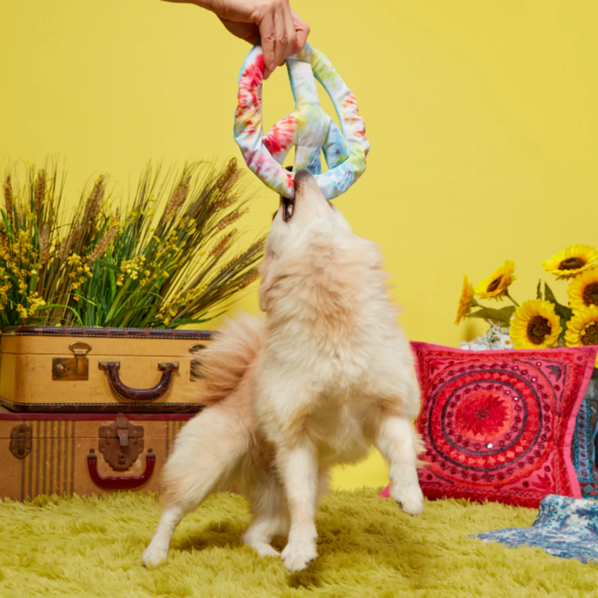 Give Peace a Tug Plush Dog Toy - Image 4