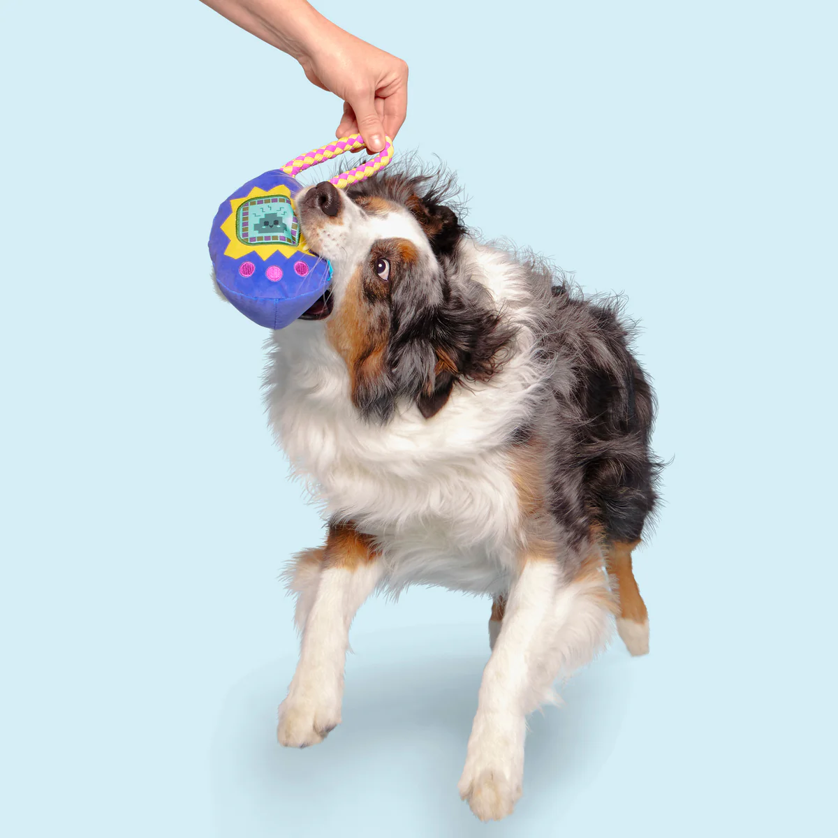 Gnawmagotchi Plush Tug Dog Toy - Image 3