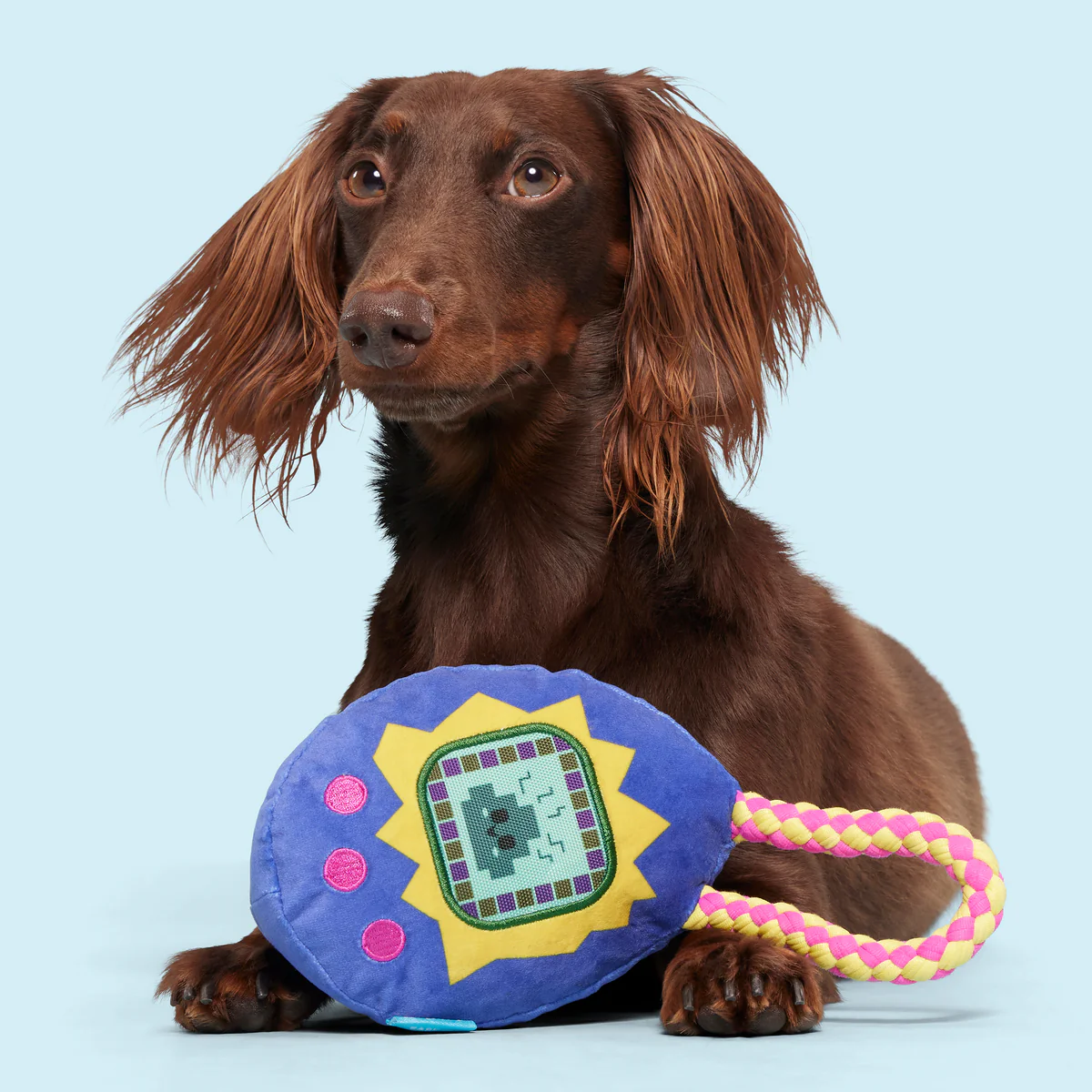 Gnawmagotchi Plush Tug Dog Toy - Image 5