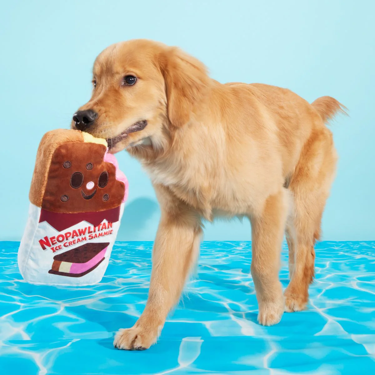 Grand Slam Ice Cream Sam Plush Extra-Large Dog Toy - Image 3