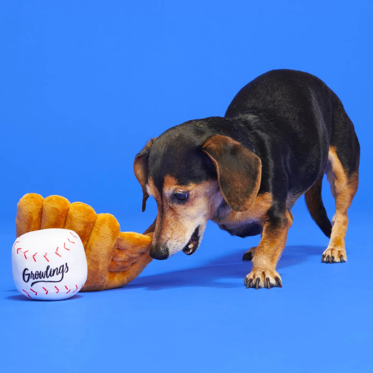 Growlings Baseball Glove Plush Multi-Part + Fetch Dog Toy - Image 4