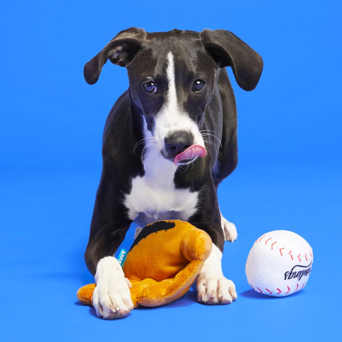 Growlings Baseball Glove Plush Multi-Part + Fetch Dog Toy - Image 6