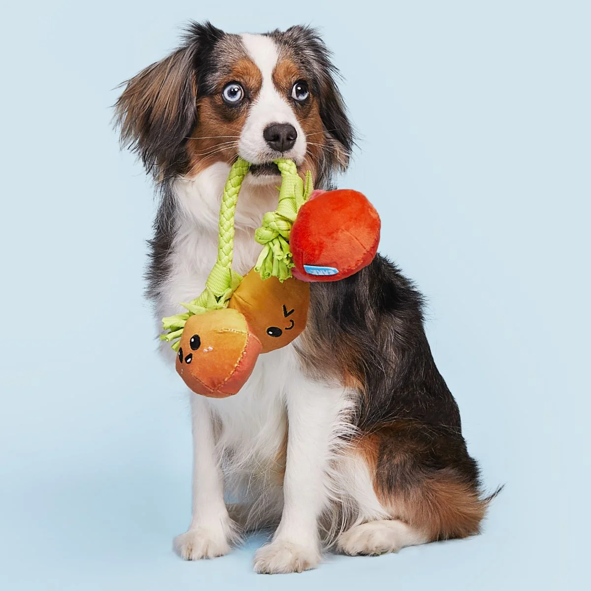 Hairloom Tomatoes Plush Tug Dog Toy - Image 5