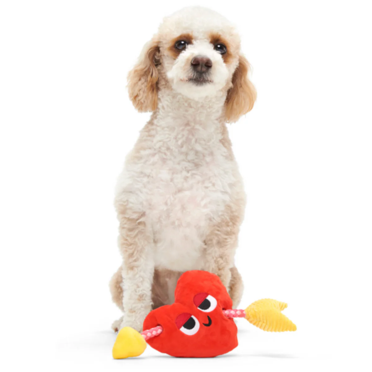 Heart Throbert Plush Tug Dog Toy - Image 3