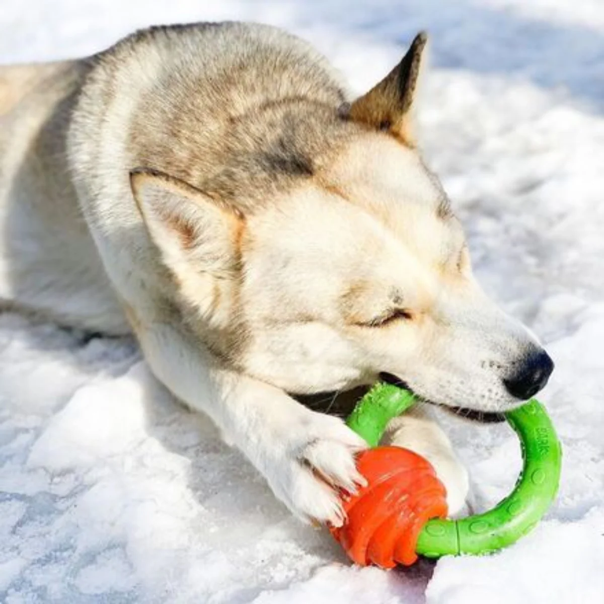 Heartstring Rose Ring Durable Super Chewer Tug + Gnaw Dog Toy - Image 4