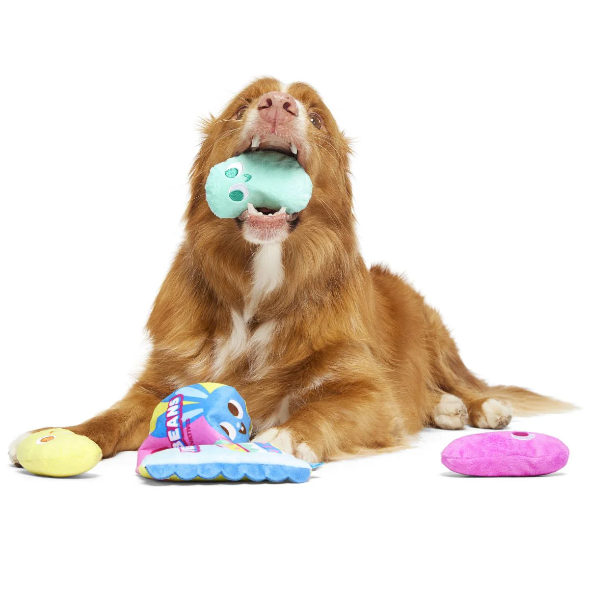 Jelly Toe Beans Plush Multi-Part + Enrichment Dog Toy - Image 4