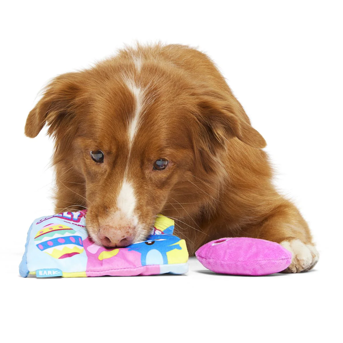 Jelly Toe Beans Plush Multi-Part + Enrichment Dog Toy - Image 5