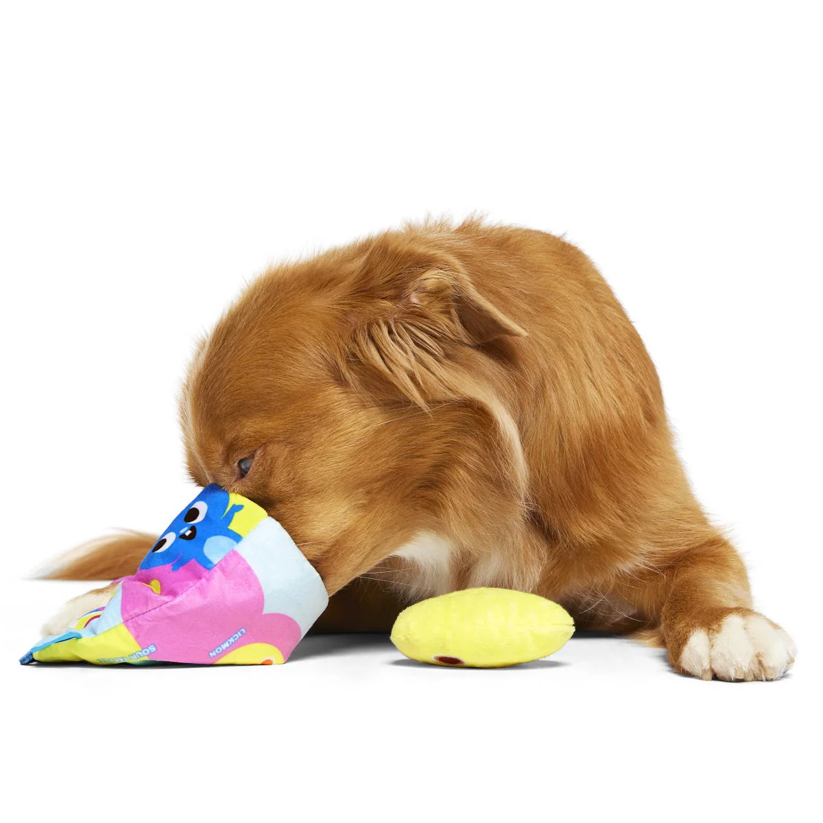 Jelly Toe Beans Plush Multi-Part + Enrichment Dog Toy - Image 6