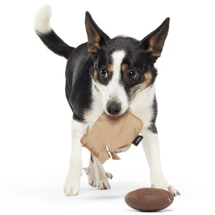 Jitter Pug Coffee Bean Super Chewer Durable 2-in-1 Dog Toy - Image 4